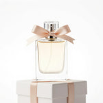 ✨ باك شتوي ستايل راقي ✨